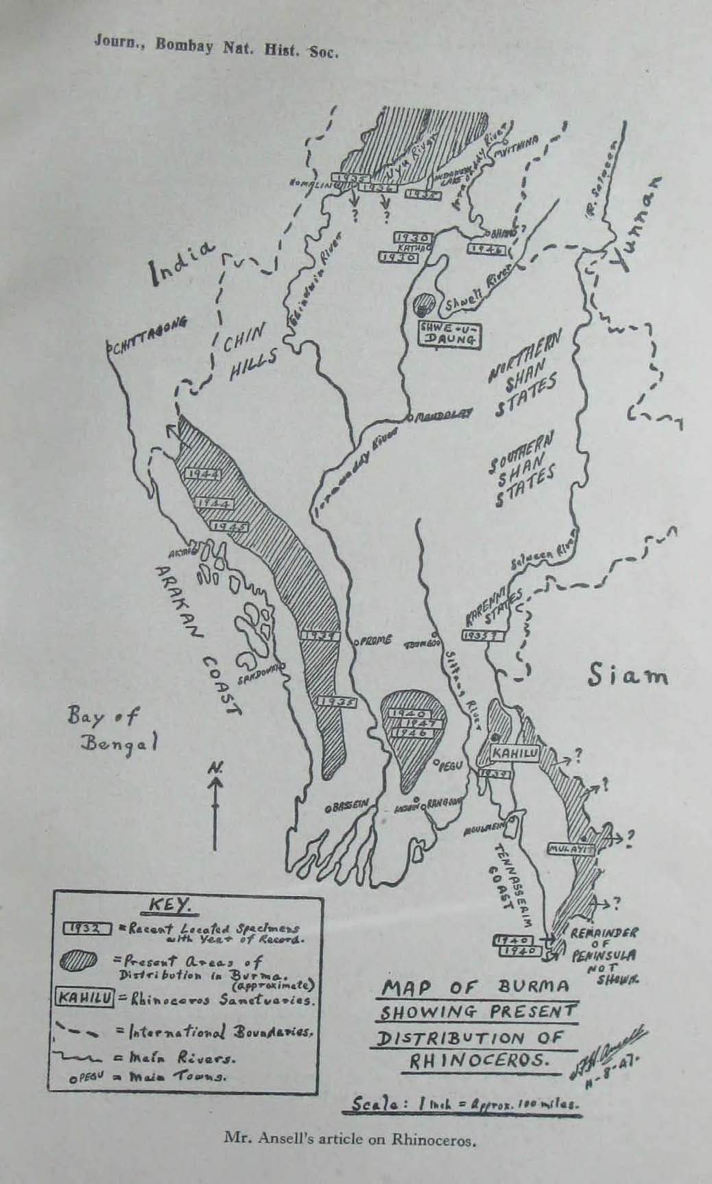 Rhino in Burma in 1947