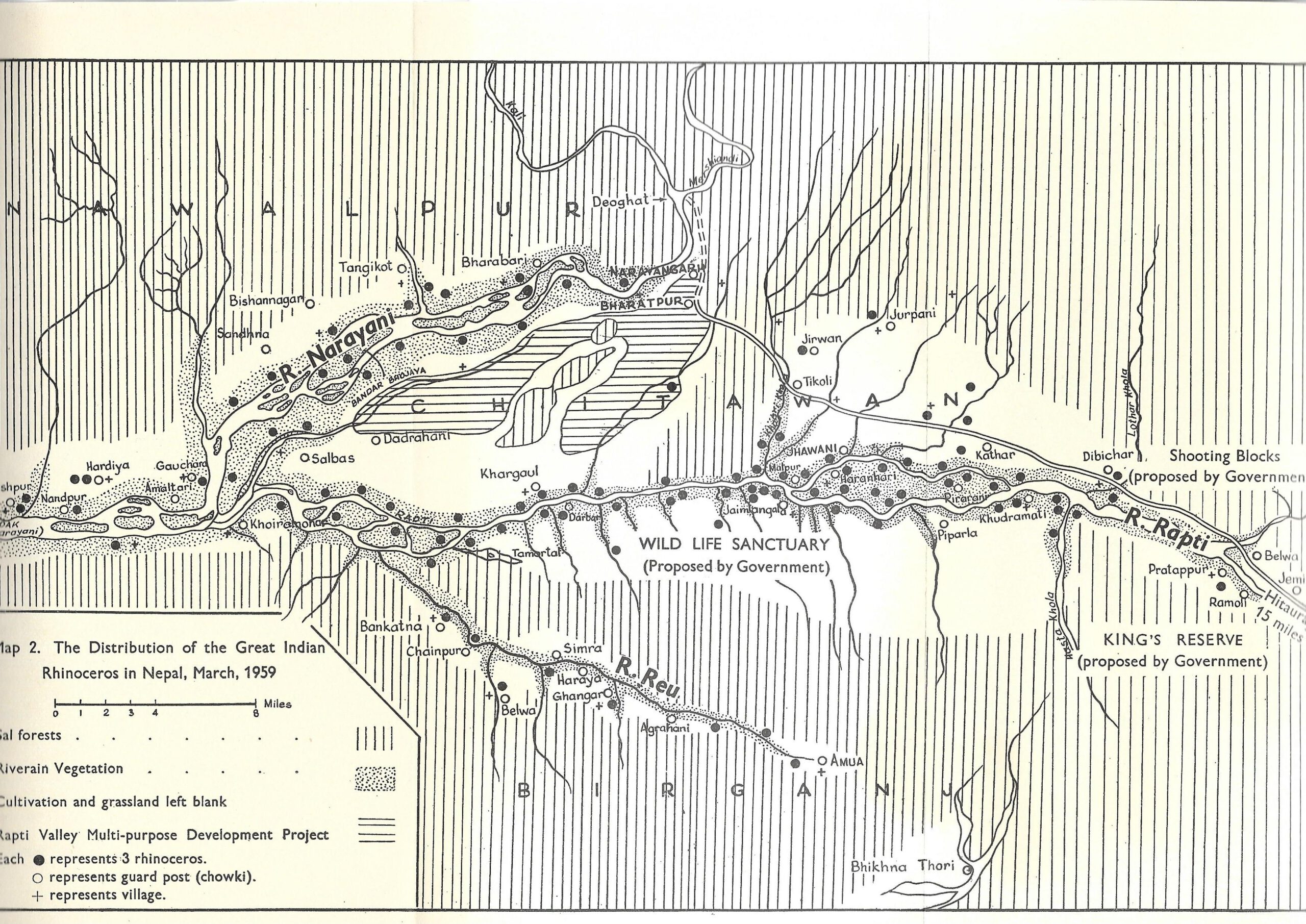Rhinos in Chitwan 1959