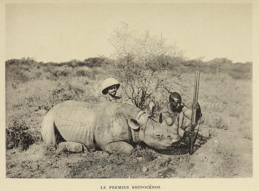 Ghika 1898 Somalis – first rhino
