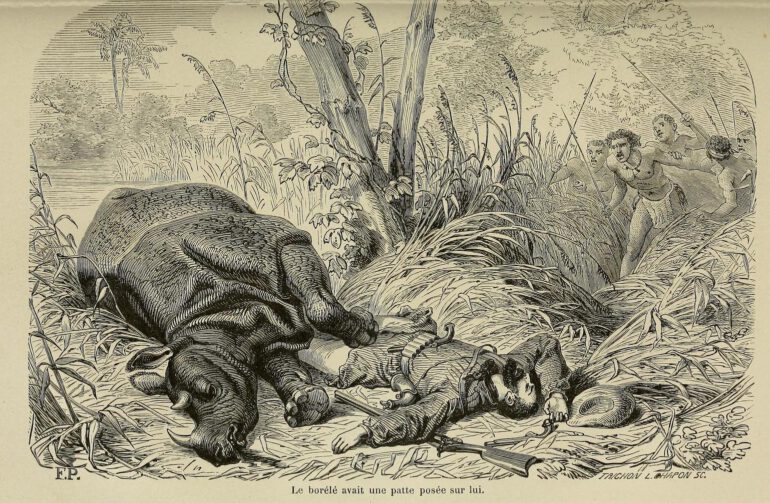 Bailleul 1876 Borele hunt