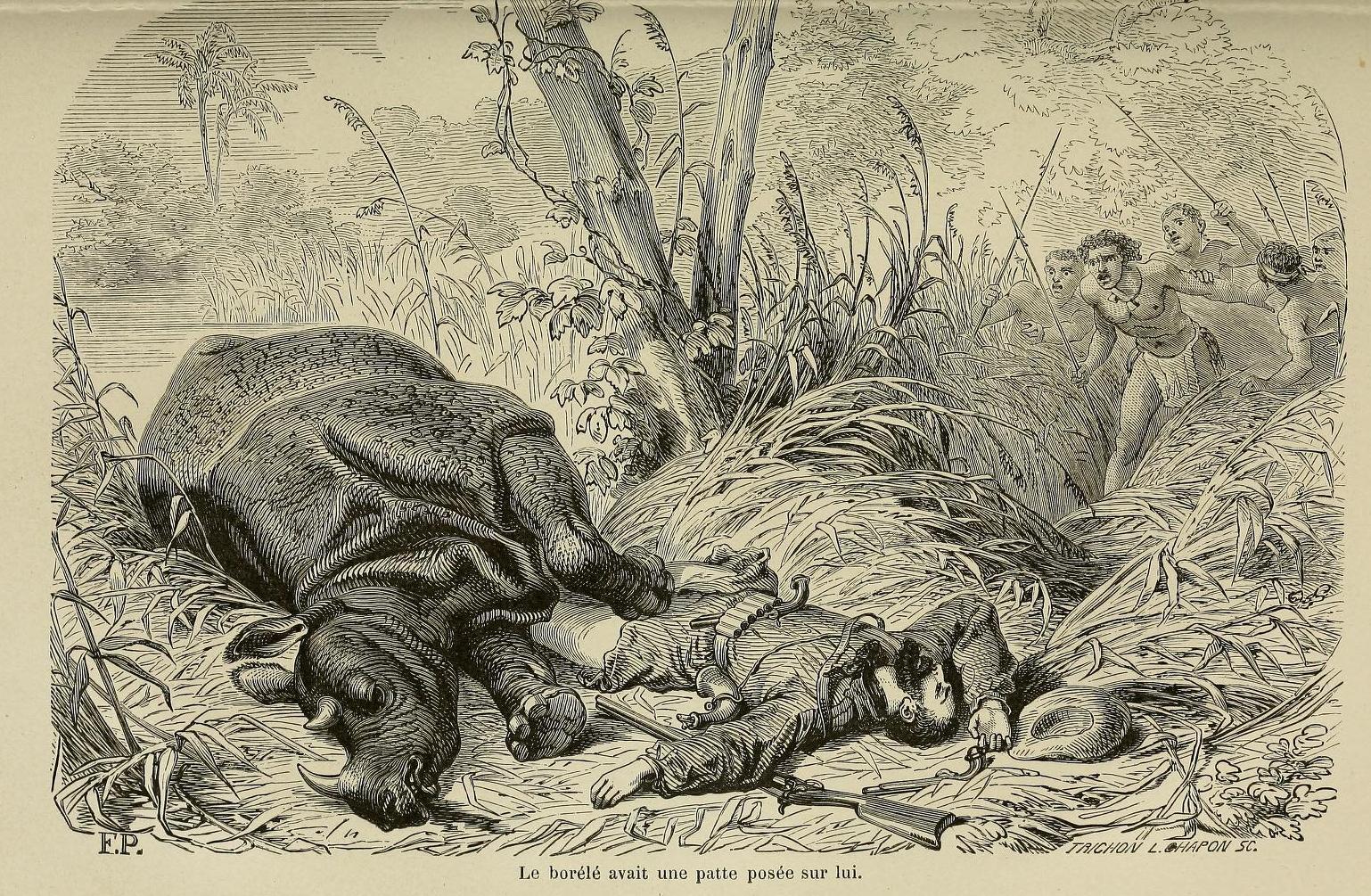 Bailleul 1876 Borele hunt