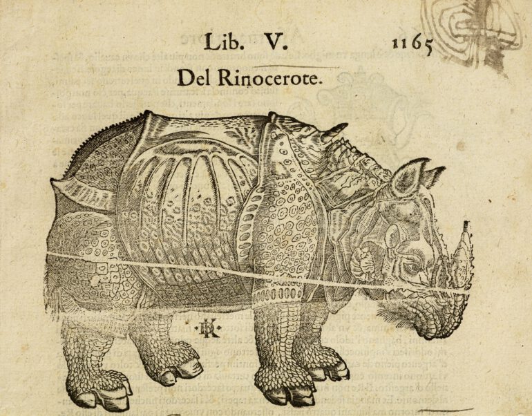 Munster 1575 Italian edition