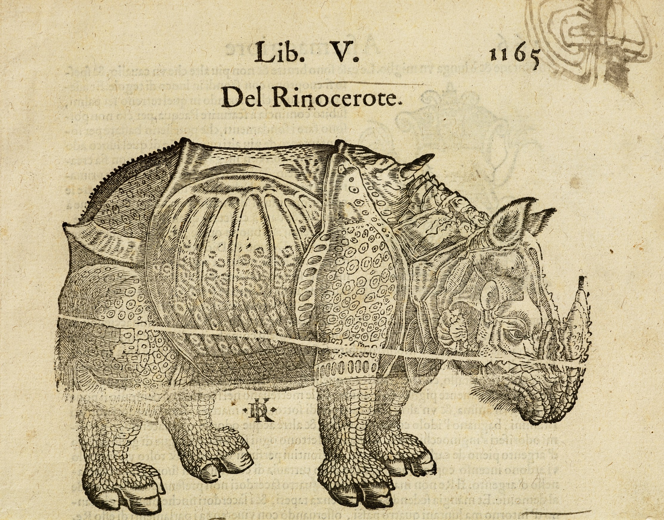 Munster 1575 Italian edition