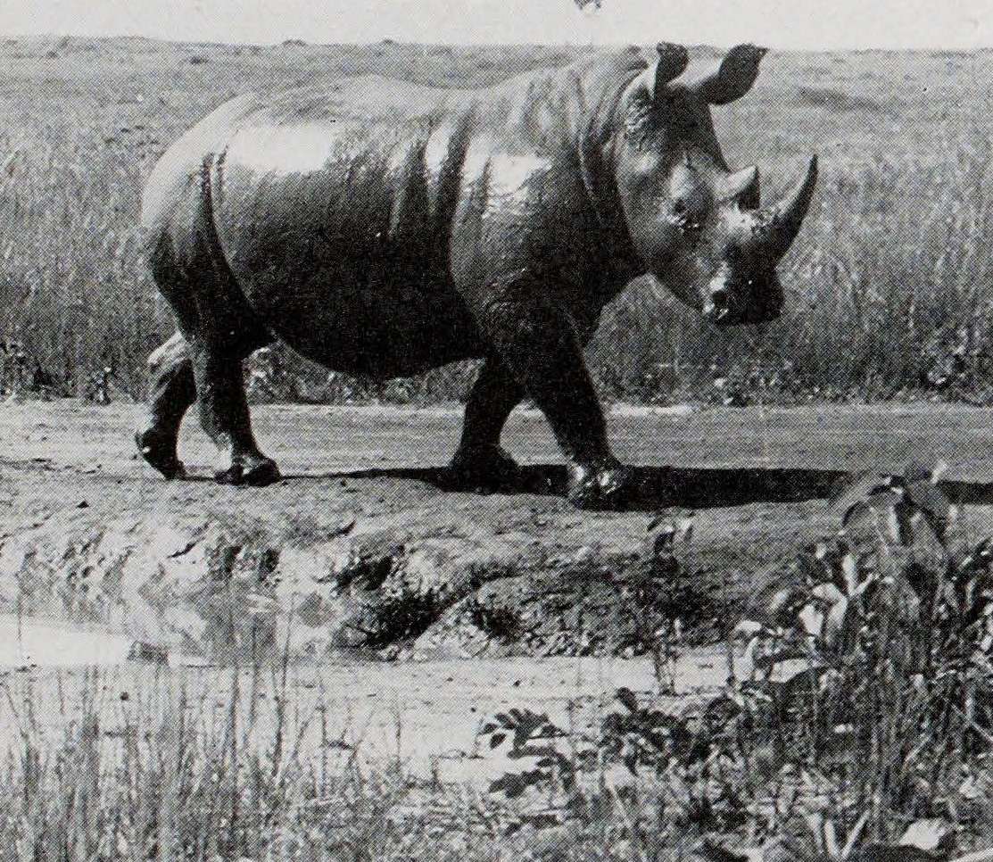 De Saeger 1954 Garamba