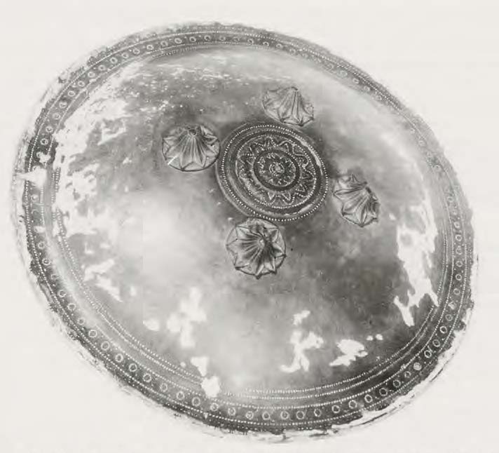 Persian shield of rhino hide