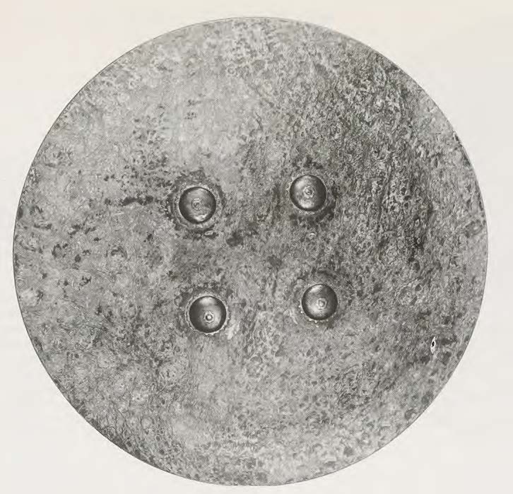 Shield from Afghanistan