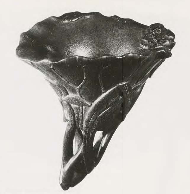 Horn in Musée de l’Homme