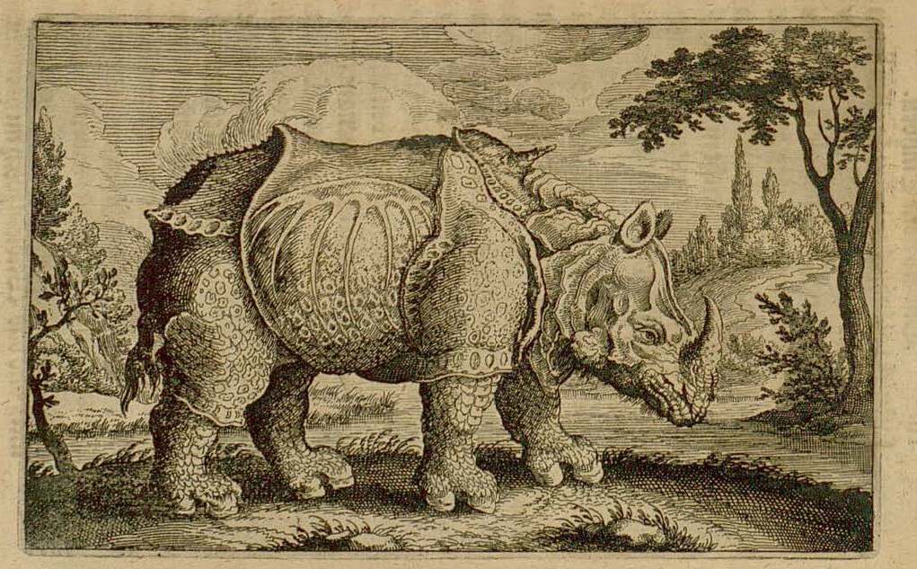 Catelan 1625 Einhorn