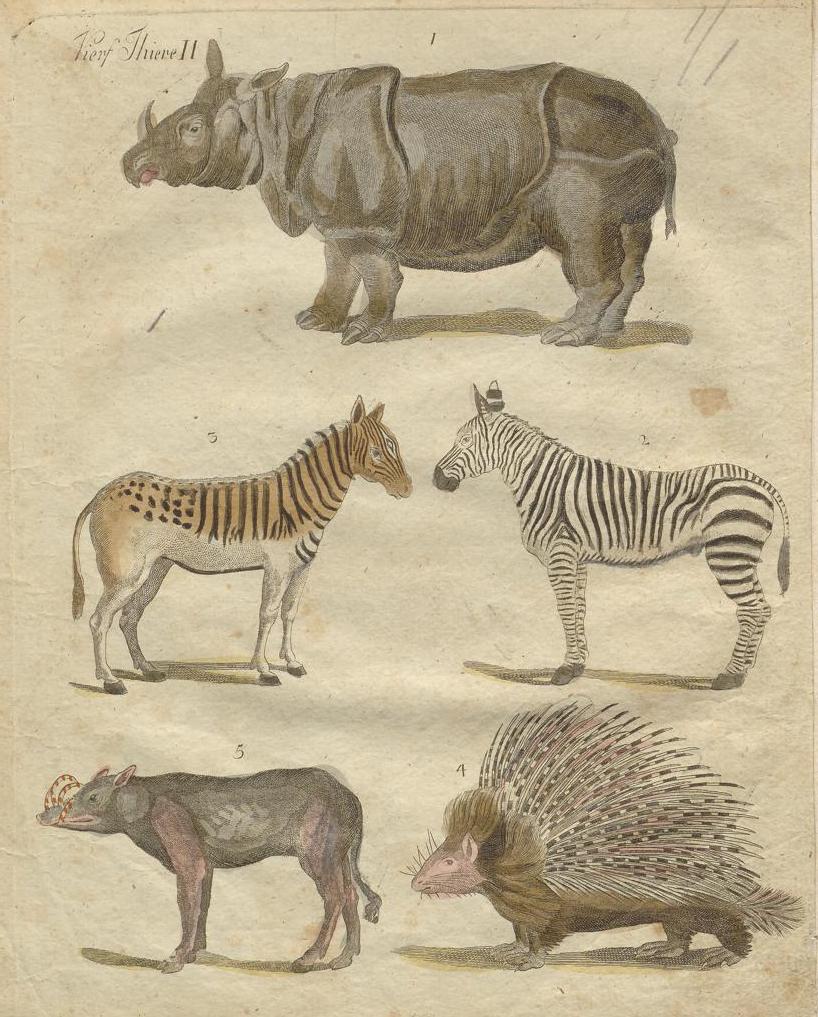 Bertuch 1806 Bilderbuch