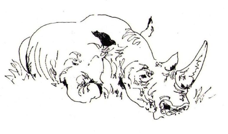 Clive Walker – black rhino