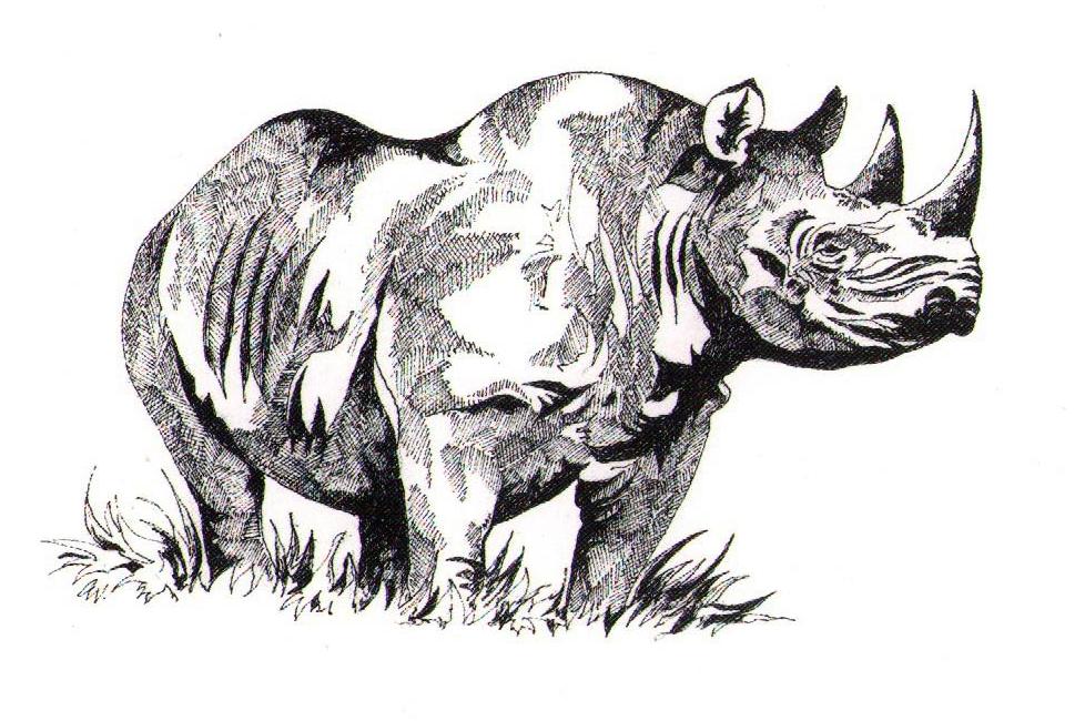 Clive Walker – standing black rhino