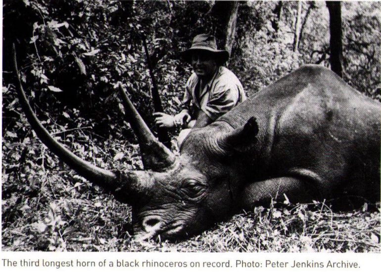 Black rhino – third longest horn