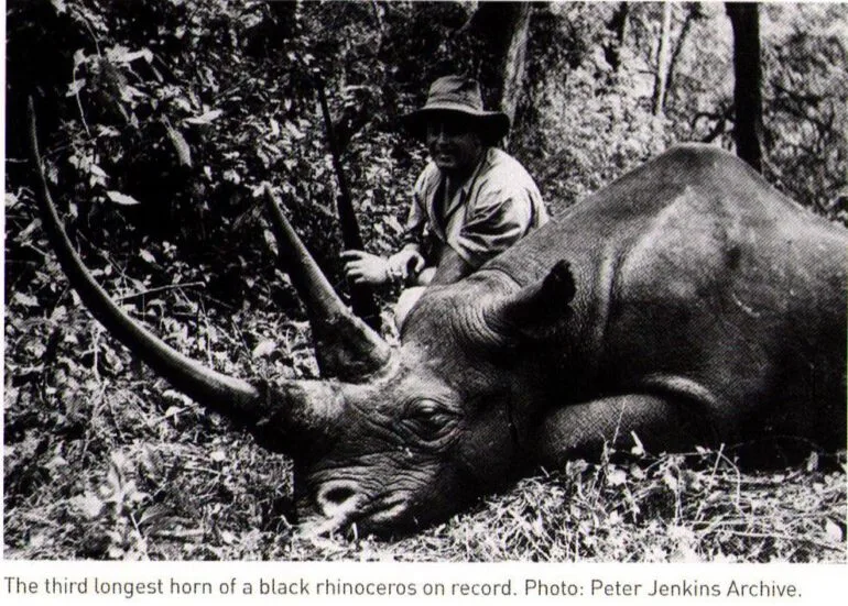 Black rhino - third longest horn — Rhino Resource Center