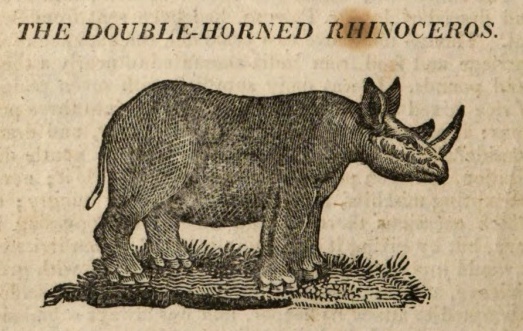 Goldsmith 1807 double horned