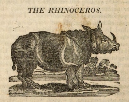 Goldsmith 1807 singe horned
