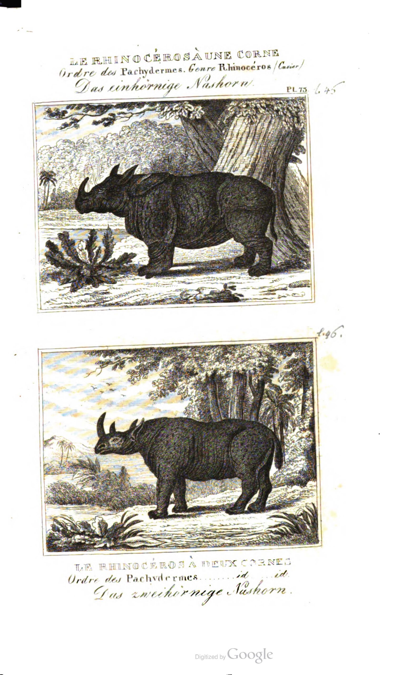 Buffon 1837 German