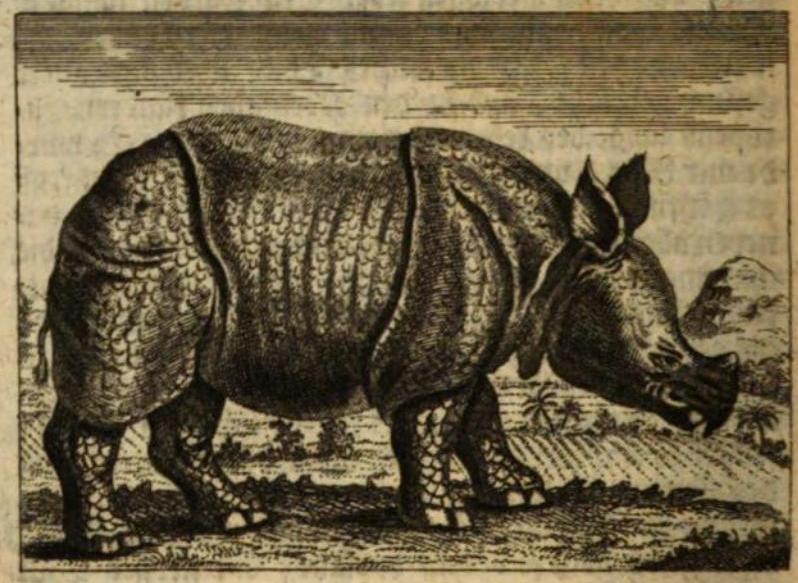 Historische Bilder-Saal 1761