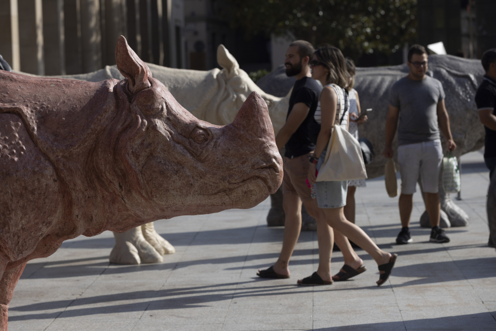 Fabelo 2023 Zaragoza