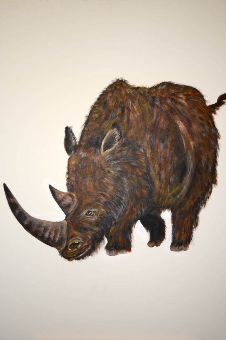 A Coelodonta antiquitatis (Blum.) reconstruction by Slavko Polak