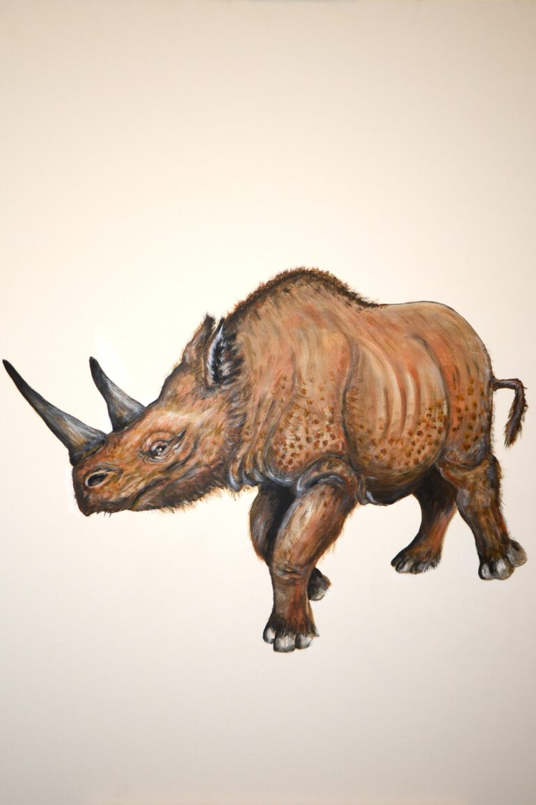Stephanorhinus kirchbergensis (Jäger) reconstruction by Slavko Polak