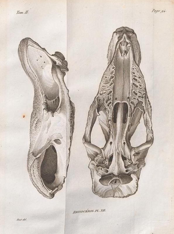 Cuvier 1822 plate 12