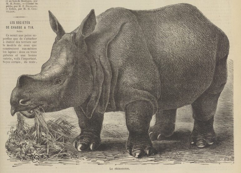 Chasse Illustree 1873 Jardin des Plantes