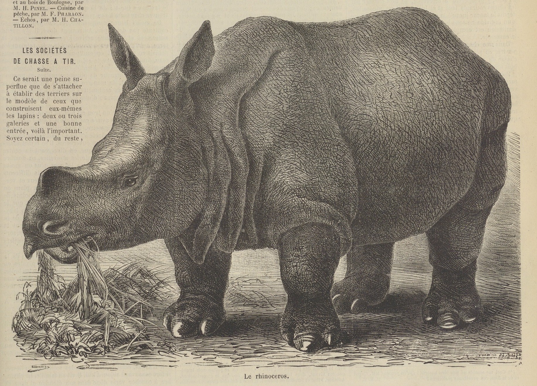 Chasse Illustree 1873 Jardin des Plantes