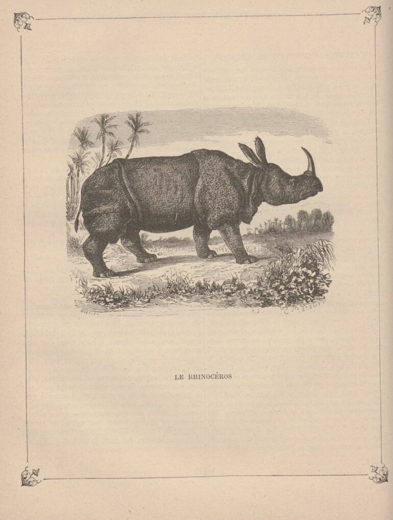 Boitard 1884 Boetzel