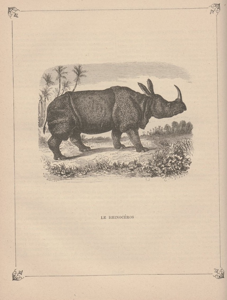 Boitard 1884 Boetzel