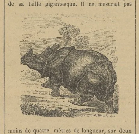 Langlois 1898 Single horned