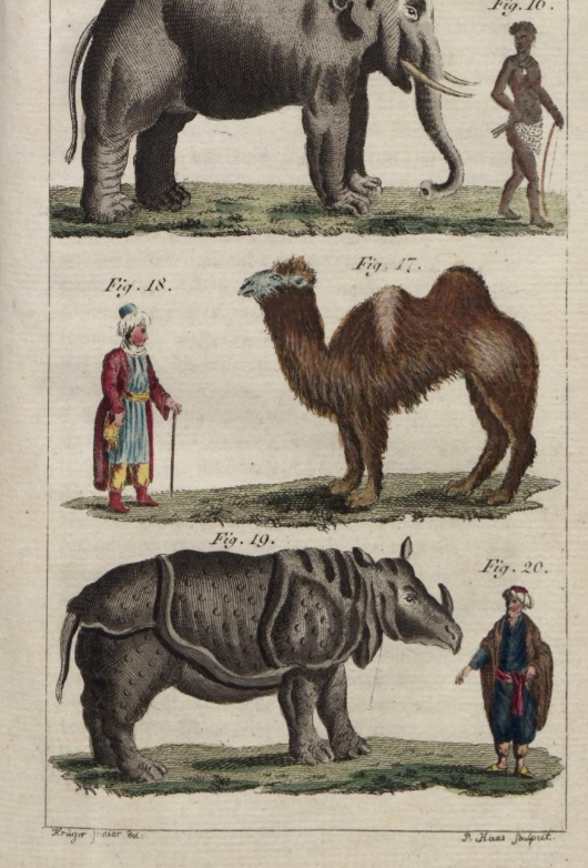 Neue Bilder Galerie 1794