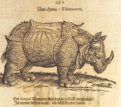 Becher 1663 Parnassus