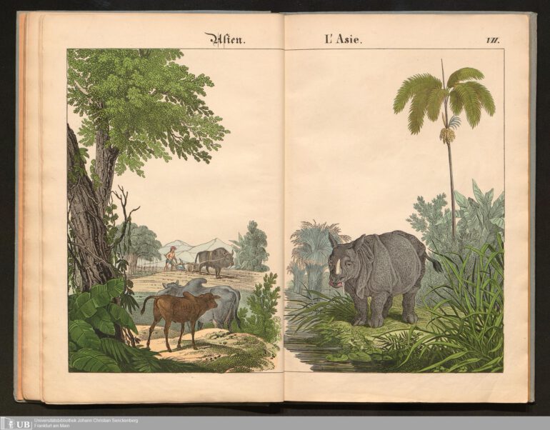 Bilder 1844 zum Anschauungs-Unterricht