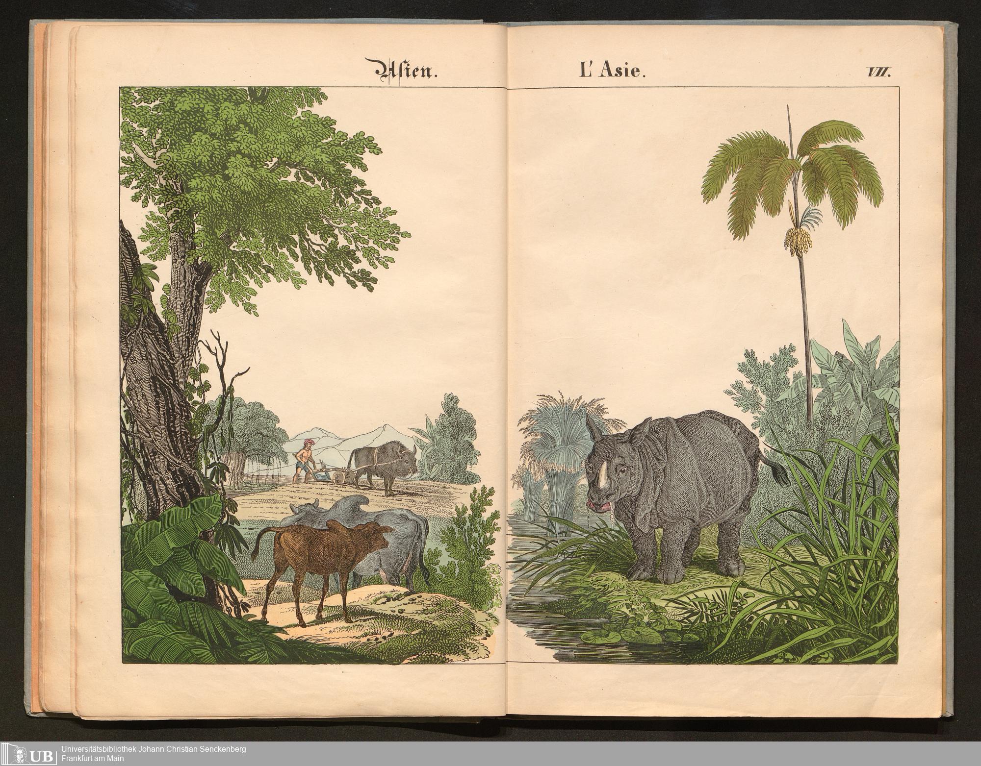 Bilder 1844 zum Anschauungs-Unterricht