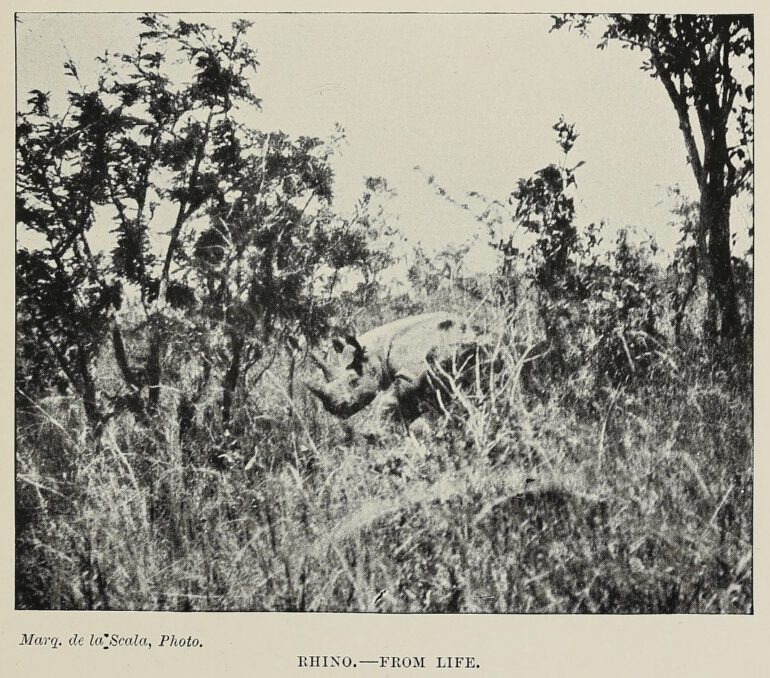 De la Scla 1908 Life