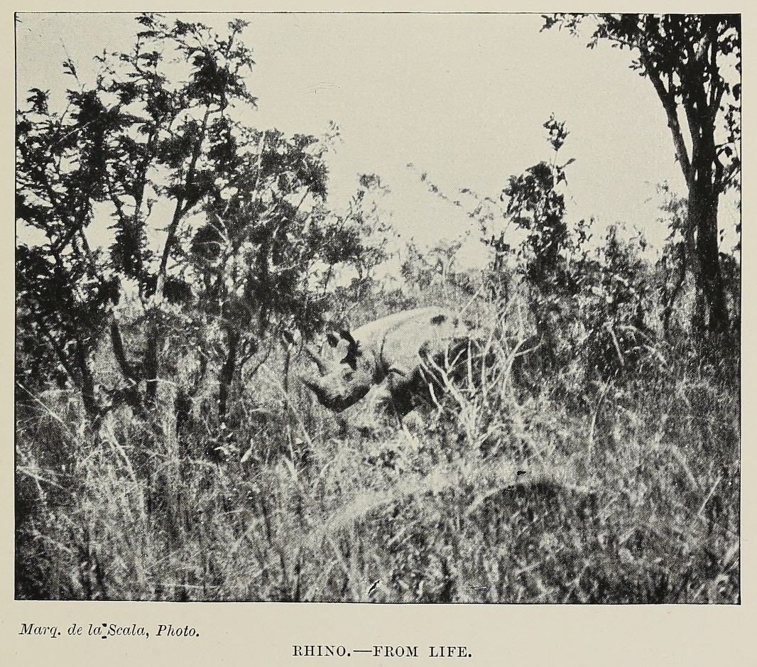 De la Scala 1908 Life