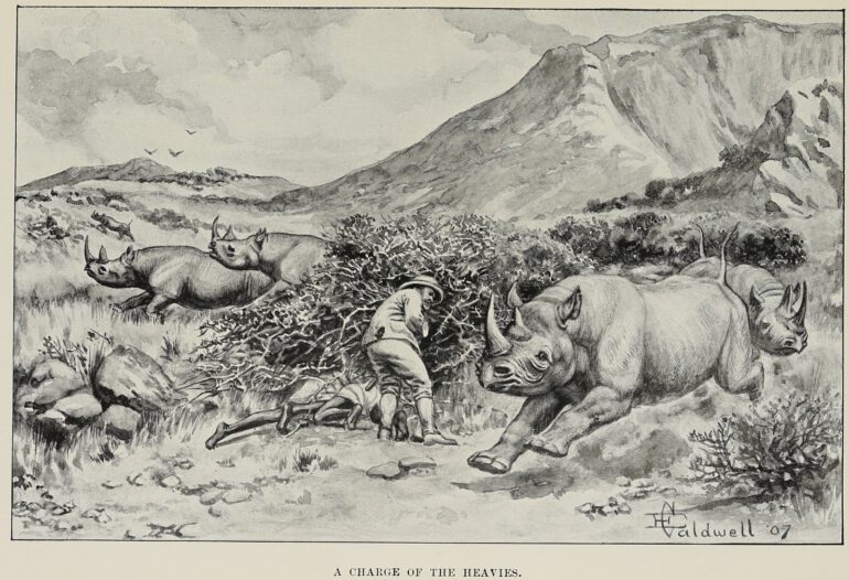 Chapman 1908 Heavies