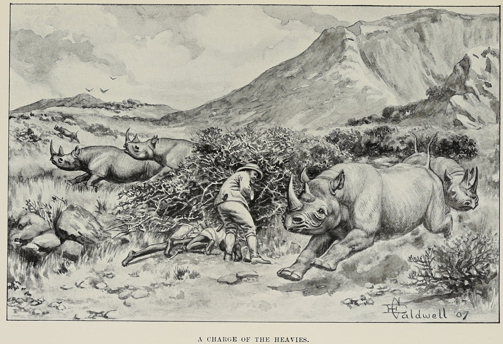 Chapman 1908 Heavies