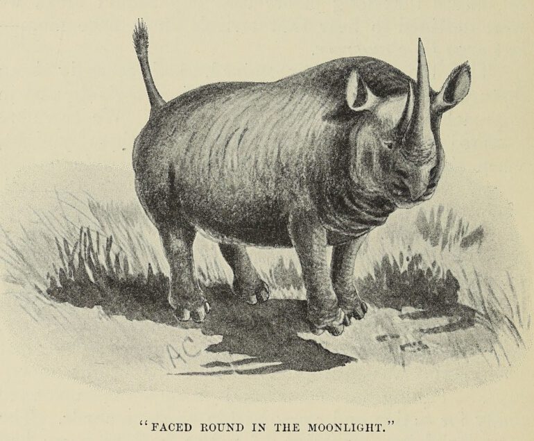 Chapman 1908 moonlight