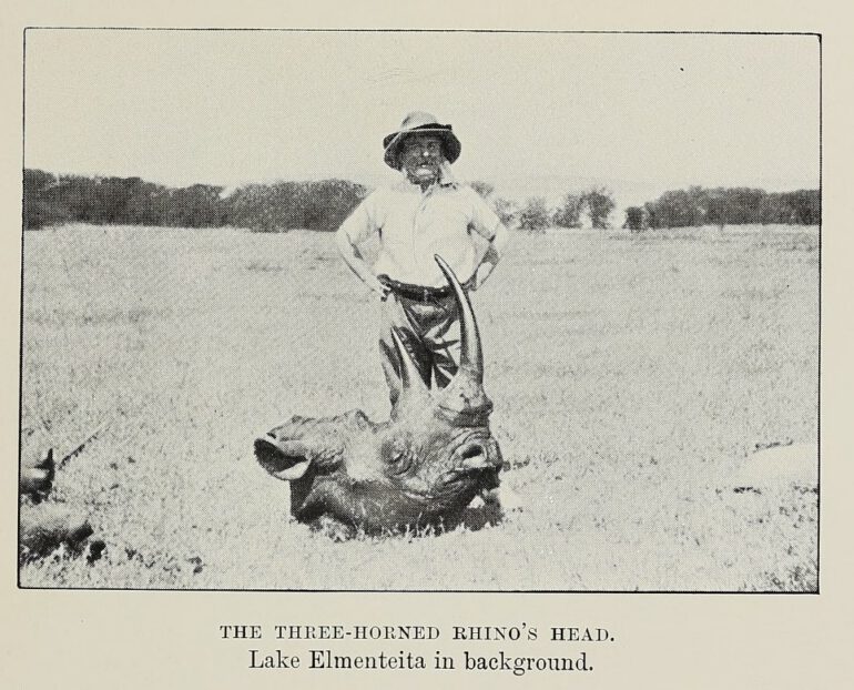 Chapman 1908 Three horned rhino