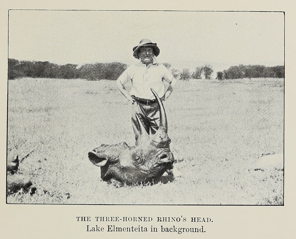 Chapman 1908 Three horned rhino