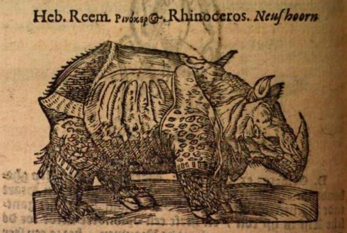 Pliny 1610 Dutch edition