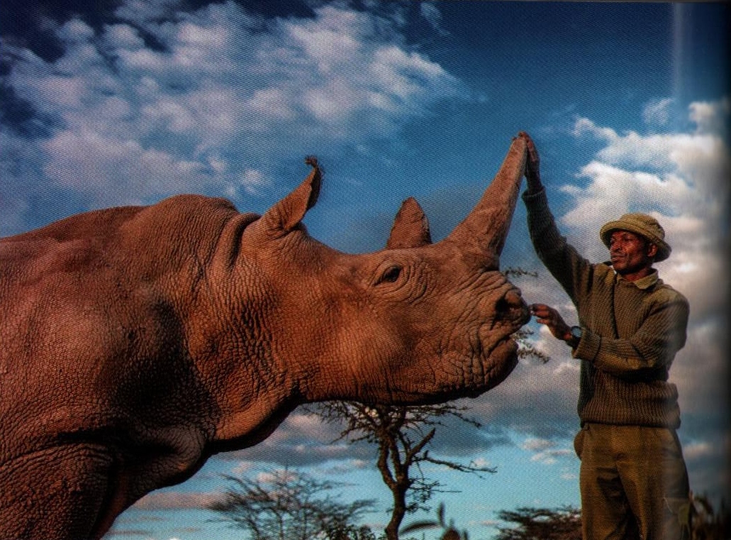 Videmsek 2023 Northern white 2