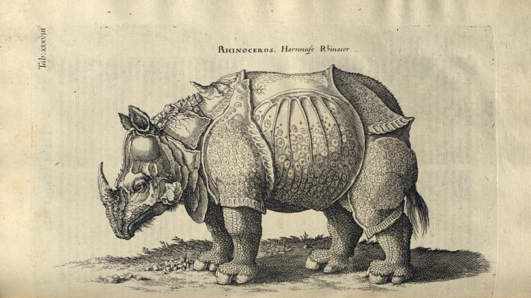 Jonston 1755 Theatrum