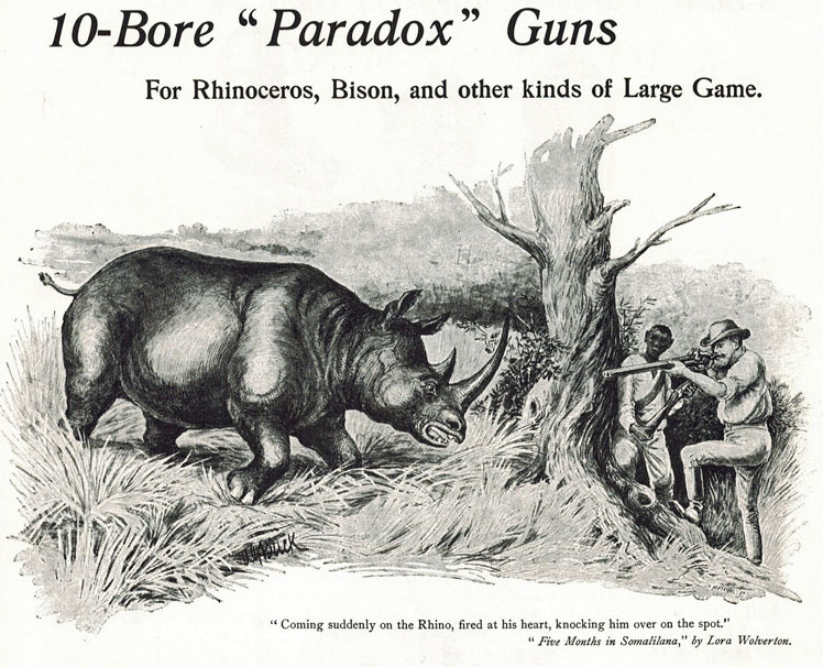 Paradox 10-Bore