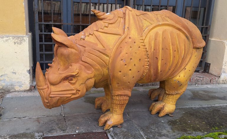 The rhinoceros of Sabbioneta