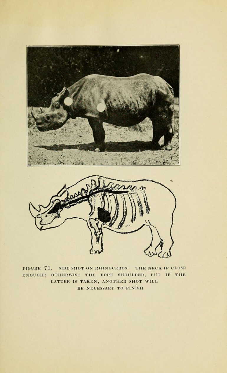 Caswell 1920 Hunting