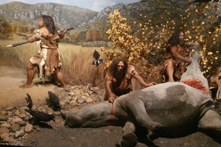 “Homo heidelbergensis” hunting rhinoceroses, Musée de Préhistoire de Tautavel, France