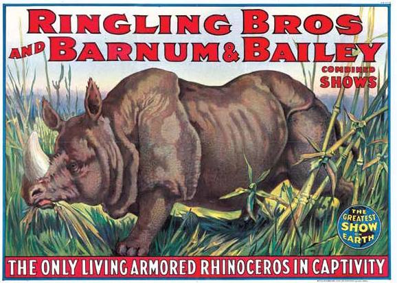 Old Bill in Ringling circus