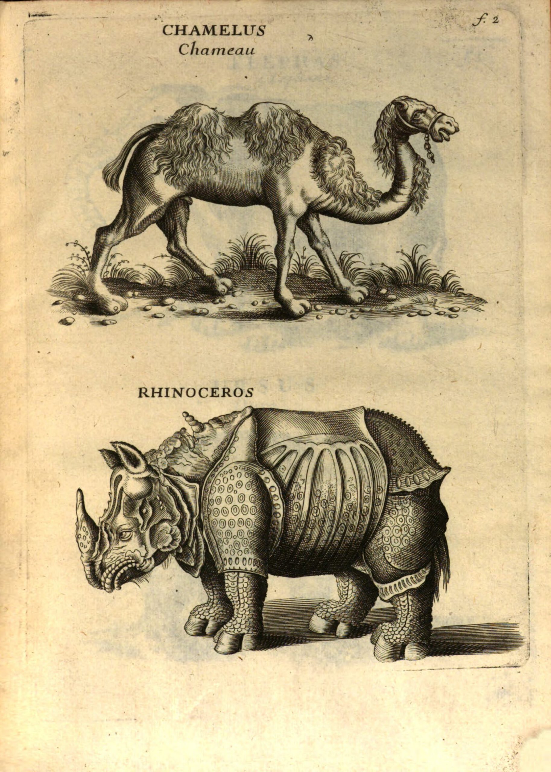 Lamy 1723 Apparatus Biblicus
